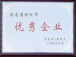 2007年湖南省衡阳市优秀企业.JPG