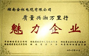 2010年度质量兴湘万里行魅力企业.JPG