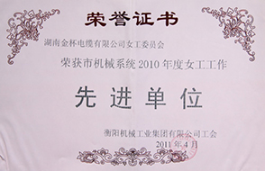 2011年度市机械系统女工工作先进单位（2010年）.jpg