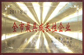 2012年度全市最具成长性企业（2011年）2.jpg